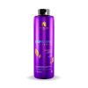 Kit Alisamento Shampoo, Tratamento e Máscara Biorganic 1L - Imagem 2